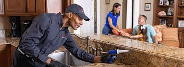 Best Real Estate Pest Inspections  in Lodi, NJ